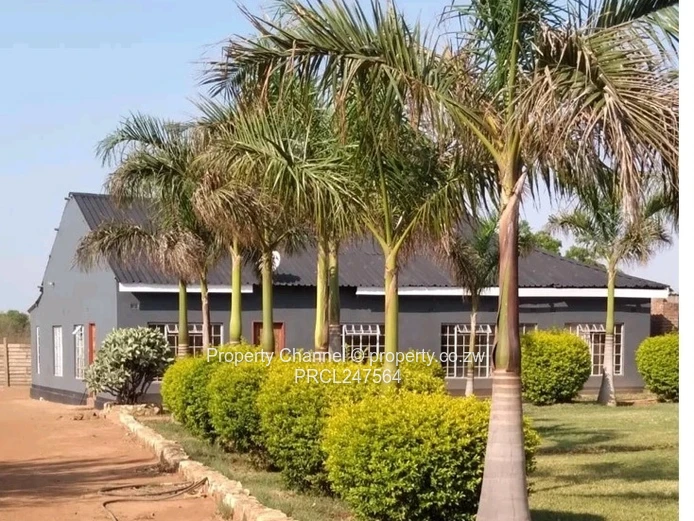 Exclusive Sabona bona Investment Opportunity 
