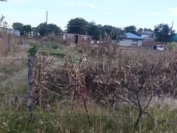 Land