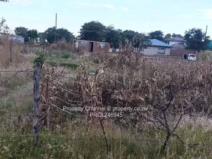 2000 m² Fenced Plot with Road Access in Whitecliff