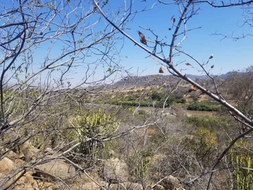 Farm & Agricultural Land