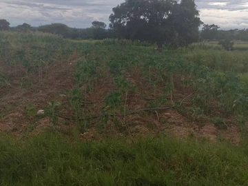 Farm & Agricultural Land