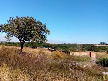 Rotsvlei Park (Roughlangs Estate) Stand For sale!