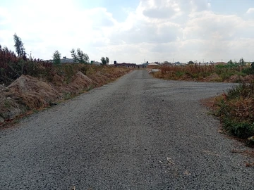Land