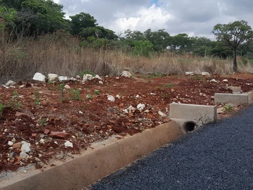 Stands & Residential Land