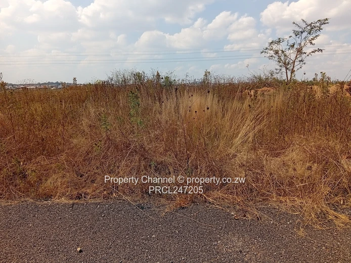 200m² Barrington Tarred Road with Services