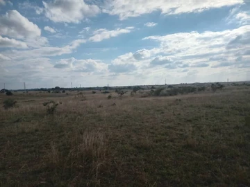 Land