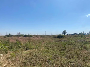 Commercial & Industrial Land