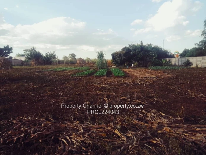 Stand For Sale In Galloway Norton