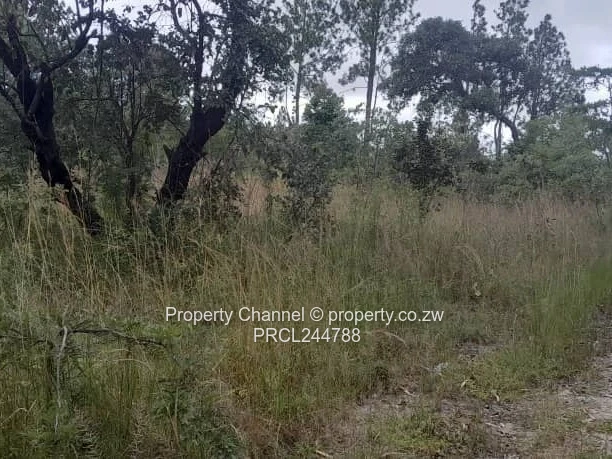 Prime Flat Agro Plot – Ideal for Farming, dwelling & Investment