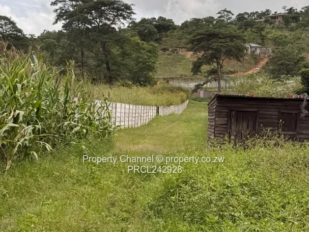 4,800m² Carrick Creagh Stand — Cleared Base & Water Tank