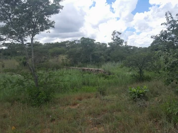 Farm & Agricultural Land