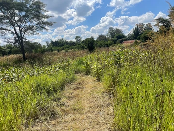 3 Bedroom Flat & Apartment