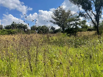 3 Bedroom Flat & Apartment