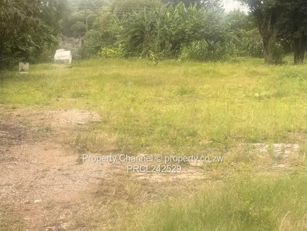 Prime 2000m² Commercial/Industrial Lot in Avondale