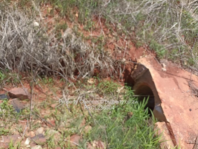 Pomona Serviced Residential Stands in Wild Geese, Buckland Gated Community