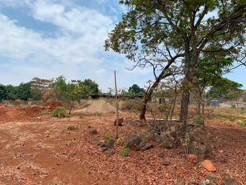 Land