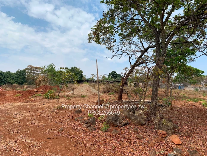 2,100m² Plot on Paved Road with Palm Trees, Hogerty Hill