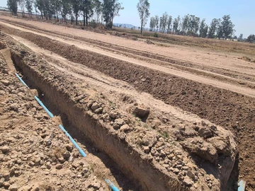 Stands & Residential Land