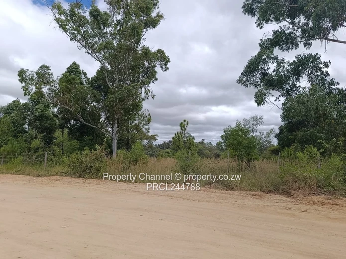 Prime Flat Agro Plot – Ideal for Farming, dwelling & Investment