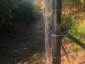 Farm & Agricultural Land