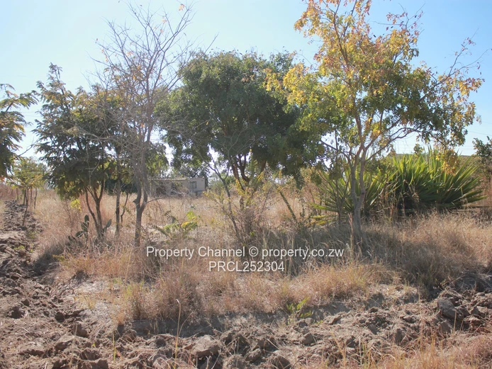  1500m² Stand in Norton Trafalga — Gravel Road Access