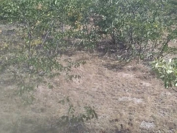 Farm & Agricultural Land