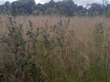 Farm & Agricultural Land