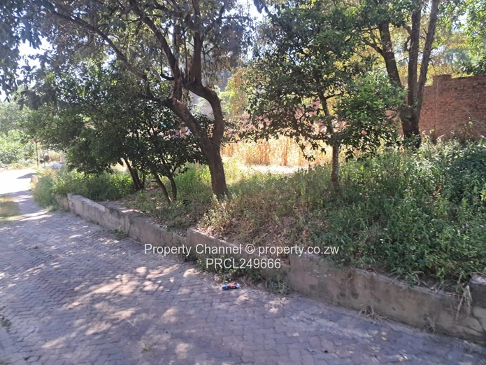 Land with cottage