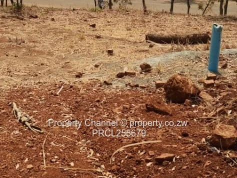 2,100m² Plot on Paved Road with Palm Trees, Hogerty Hill