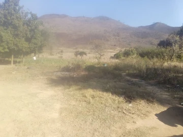 Commercial & Industrial Land