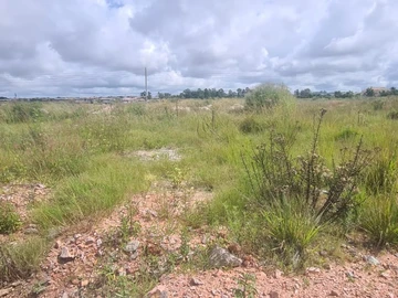 Stands & Residential Land