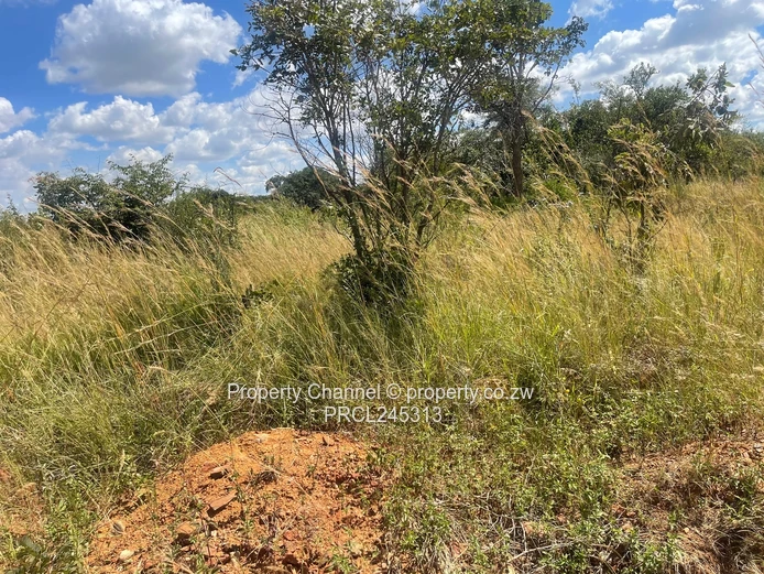 1200sqm in Luna Estate, Nyabira (Sole Mandate)