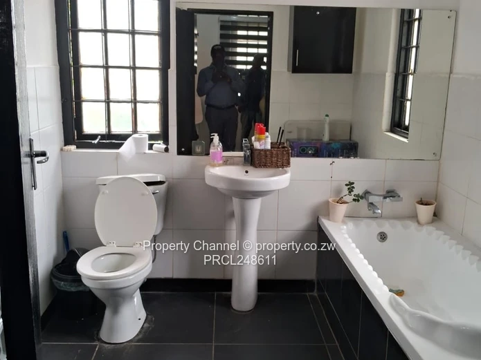 Commercial Property For In Alexandra Park