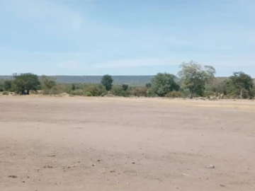 Commercial & Industrial Land