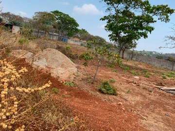 Land