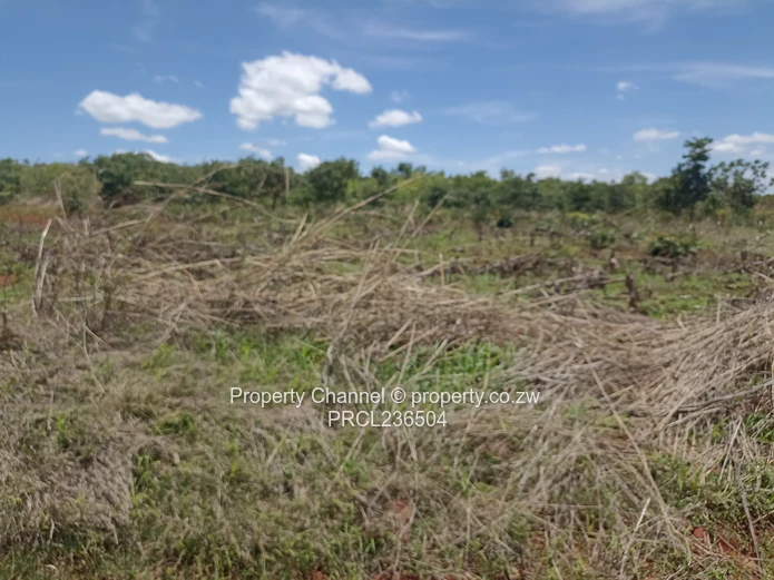 Pomona Serviced Residential Stands in Wild Geese, Buckland Gated Community