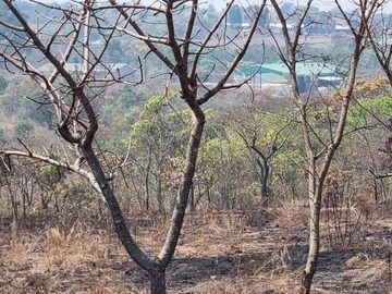 Farm & Agricultural Land