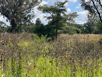 3 Bedroom Flat & Apartment