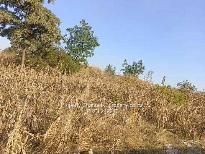 Stand for Sale – Prime Location Near Ocean Primary School