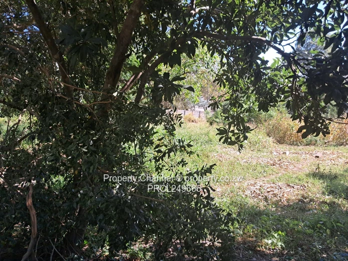 Land with cottage