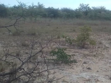 Farm & Agricultural Land