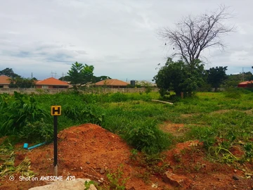 Stands & Residential Land