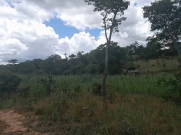 Farm & Agricultural Land