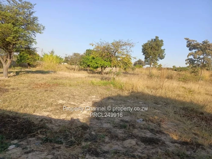 Stand for Sale – Prime Location Near Ocean Primary School