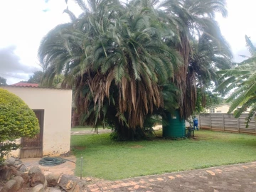 4 Bedroom Townhouse Complex