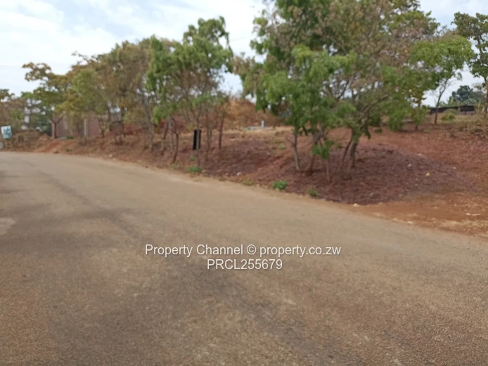 2,100m² Plot on Paved Road with Palm Trees, Hogerty Hill