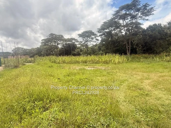 4,800m² Carrick Creagh Stand — Cleared Base & Water Tank
