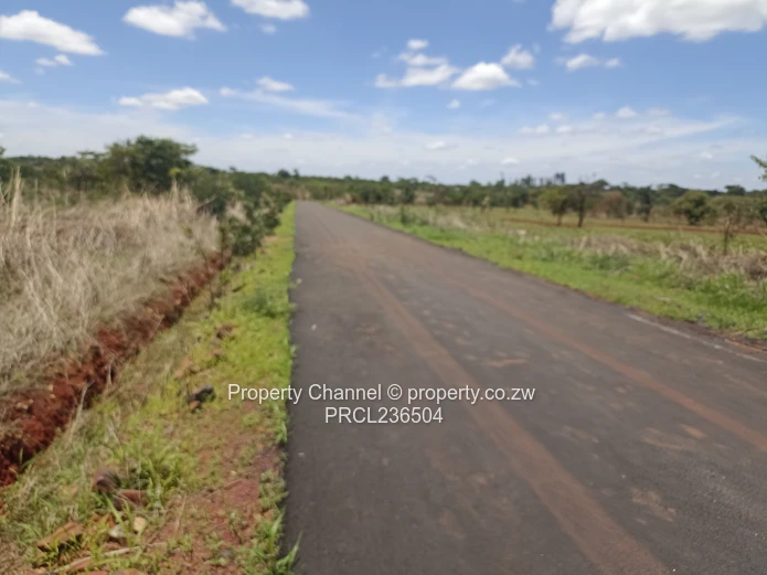 Pomona Serviced Residential Stands in Wild Geese, Buckland Gated Community