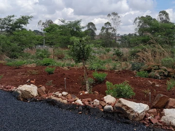 Stands & Residential Land