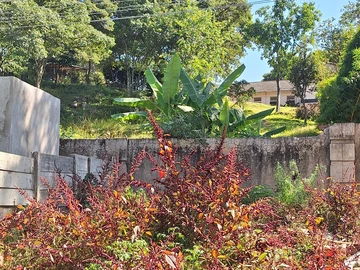 3 Bedroom Flat & Apartment